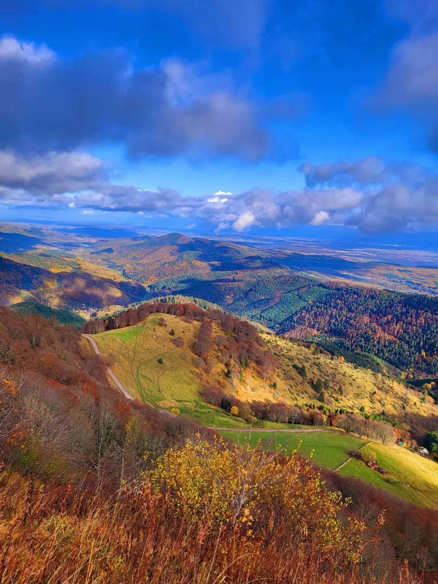 Le Panorama Du Murat Mulhouse Riedisheim 68 Haut-Rhin Alsace Saint-Louis Exterior photo